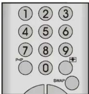 DUAL DTFT 301 - Programma precedente - 1