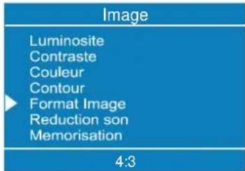 DUAL DTFT 272 - Réglage du format d'image : - 1