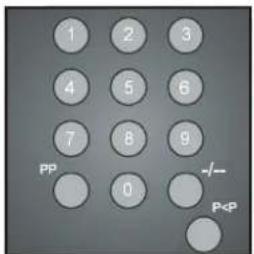 DUAL DTFT 272 - Programmtausch (P <   P) - 1