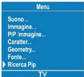 Menu Suono... Immagine... PIP Immagine... Caratter... Geometry... Fonte... ► Ricerca Pip TV