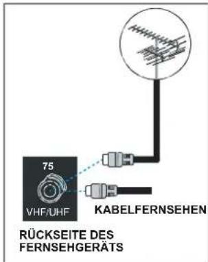 DUAL DTFT 203 - Antenneneingangsbuchse - 1