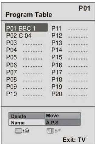 DUAL DTFT 203 - Program Table - 1