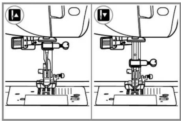 BERNINA Bernette Palermo 5 - Commutateur de réglage de position (Up/down) de l'aiguille - 3