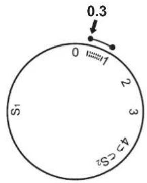SILVERCREST SNM 33 B1 - Buttonhole foot - 2