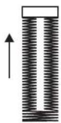SILVERCREST SNM 33 B1 - Buttonhole foot - 6