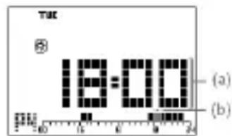CHACON 54311 - Réglage du programme - 1