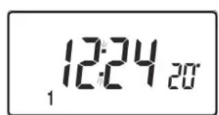 DANFOSS TP5001M - Tussentijdse aanpassingen door de gebruiker - 1