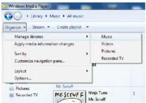 TECHNISAT DigitRadio 110 IR - Partage de contenu avec Windows Media Player - 1