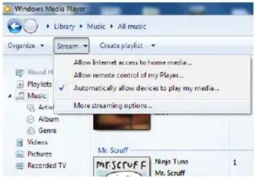 TECHNISAT DigitRadio 110 IR - Sdílení médií s programem Window Media Player - 2