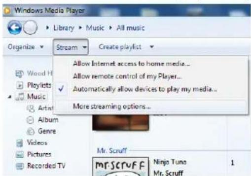 TECHNISAT DigitRadio 110 IR - Sharing Media with Windows Media Player - 3