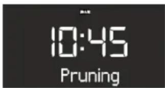 SONORO SO210 - Voorwaarde: - 2