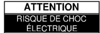 SCANSONIC DAB200 - Remarques importantes - 2