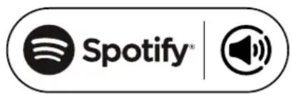 REVO SuperSystem - SPOTIFY CONNECT EXPLAINED - 1