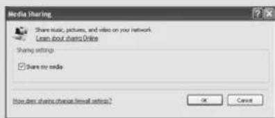 REVO Heritage Shadow - CONDIVIDERE CON WINDOWS MEDIA PLAYER - 1
