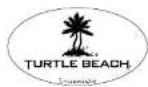 TURTLE BEACH Earforce DX12 - 3