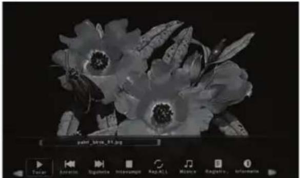 BLAUPUNKT B26C5 - Modo USB / Reproductor multimedia - 4