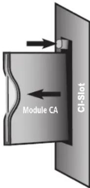 LOEWE MODUS L 42 - Insérer un nouveau module CA - 1