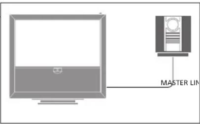 BANG & OLUFSEN Beovision 9 Full HD - Connexion du système audio - 1