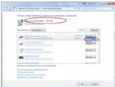 TECHNISAT DigitRadio 580 - Partage de contenu avec Windows Media Player - 4