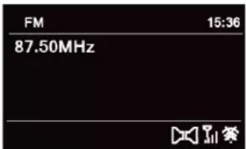 TECHNISAT DigitRadio 580 - Selecting FM Mode - 1