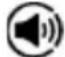 TECHNISAT DigitRadio 580 - tikoblingsikonet - 1