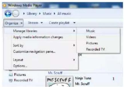 TECHNISAT DigitRadio 580 - Sharing Media with Windows Media Player - 1