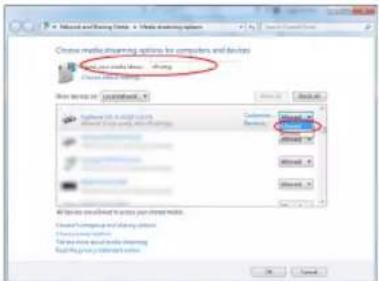 TECHNISAT DigitRadio 580 - Mediedeling med Windows Media Player - 4