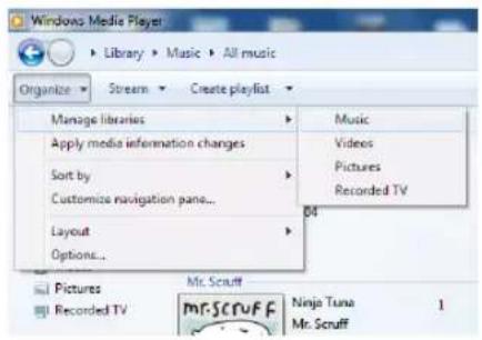 TECHNISAT DigitRadio 580 - Media delen met Windows Media Player - 1