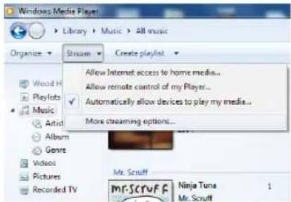 TECHNISAT DigitRadio 580 - Mediedeling med Windows Media Player - 3