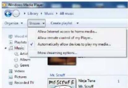 TECHNISAT DigitRadio 580 - Partage de contenu avec Windows Media Player - 3