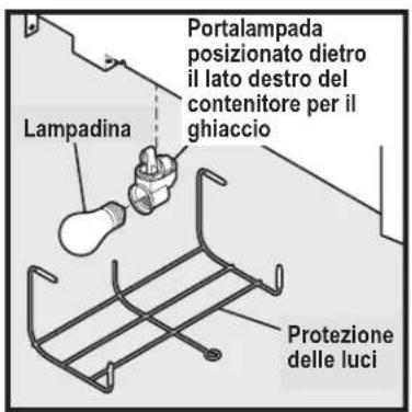 Lampadina Portalampada posizionato dietro il lato destro del contenitore per il ghiaccio Protezione delle luci