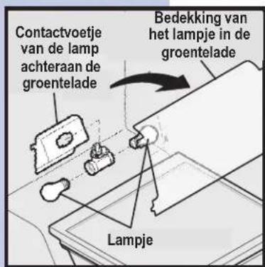 Contactvoetje van de lamp achteraan de groentelade Bedekking van het lampje in de groentelade Lampje
