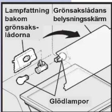 Lampfattning bakom grönsaks- lådorna Grönsakslådans belysningsskärm Glödlampor