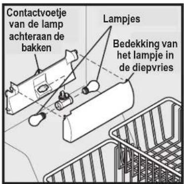 Contactvoetje van de lamp achteraan de bakken Lampjes Bedekking van het lampje in de diepvries