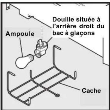 Douille située à l'arrière droit du bac à glaçons Ampoule Cache