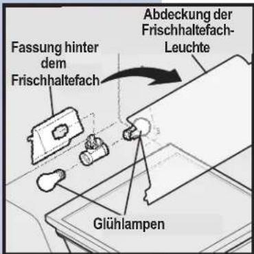 Fassung hinter dem Frischhaltefach Abdeckung der Frischhaltefach- Leuchte Glühlampen