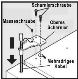 Scharnierschraube Masseschraube Oberes Scharnier Mehradriges Kabel