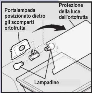Portalampada posizionato dietro gli scomparti ortofrutta Lampadine Protezione della luce dell'ortofrutta