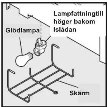 Glödlampa Lampfattningtil höger bakom islådan Skärm