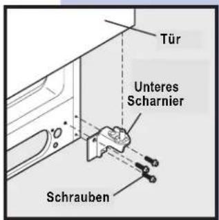 Tür Unteres Scharnier Schrauben