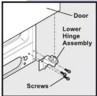 Door Lower Hinge Assembly Screws