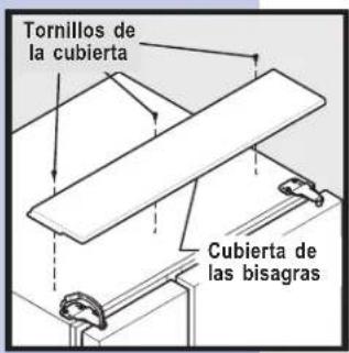 Tornillos de la cubierta Cubierta de las bisagras