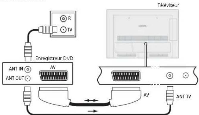 LOEWE Xelos 40 MEDIA - Raccorder l'enregistreur DVD au téléviseur - 1