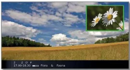 LOEWE Xelos 32 MEDIA - Sélectionner la chaîne de l'image PIP - 1