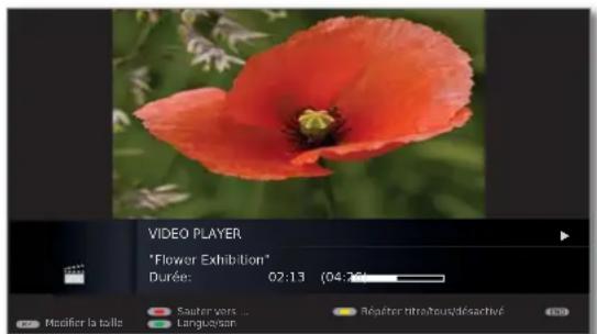 LOEWE Xelos 32 MEDIA - Barre d'état de la vidéo - 2