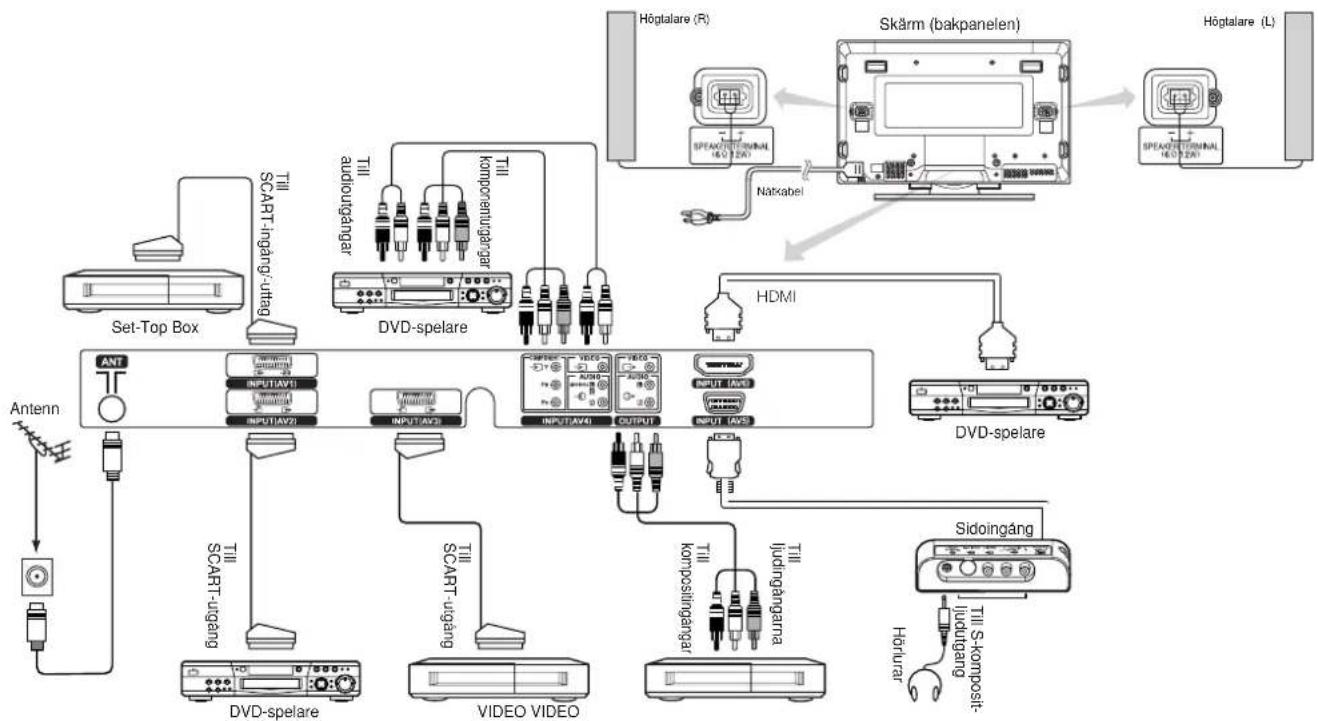 YAMAHA PDM4220 - Ansluta till en AV-enhet - 1
