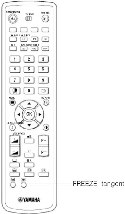 YAMAHA PDM4220 - BRUKSANVISNING (forts.) - 1