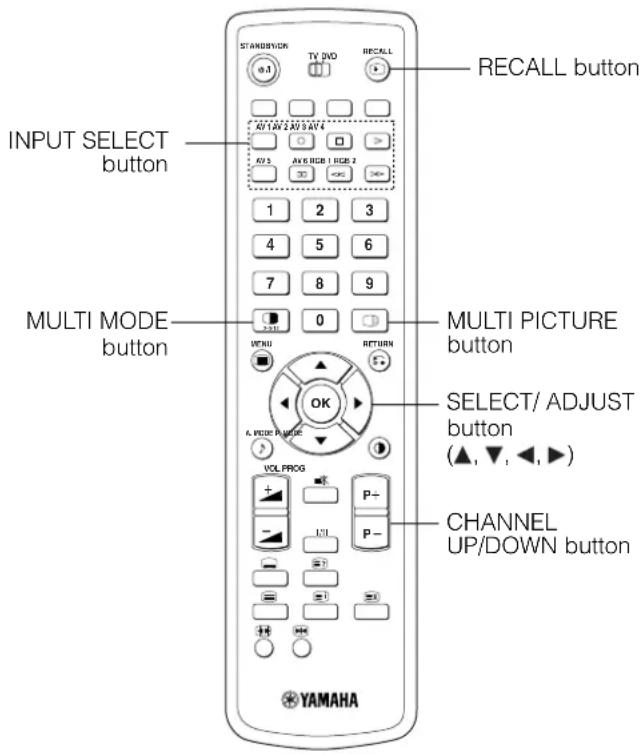 YAMAHA PDM4220 - Displaying MULTI PICTURE - 2
