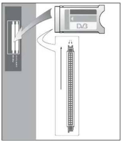 BANG & OLUFSEN Beovision 755 - Module DVB - 1