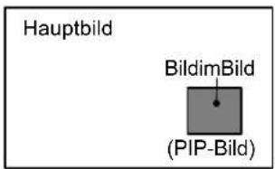 FUJITSU SIEMENS Myrica PQ421 - GebrauchderBild-im-BildFunktion - 1